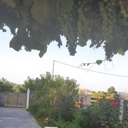 Elsa Home Πρέβεζα Εξωτερικό φωτογραφία