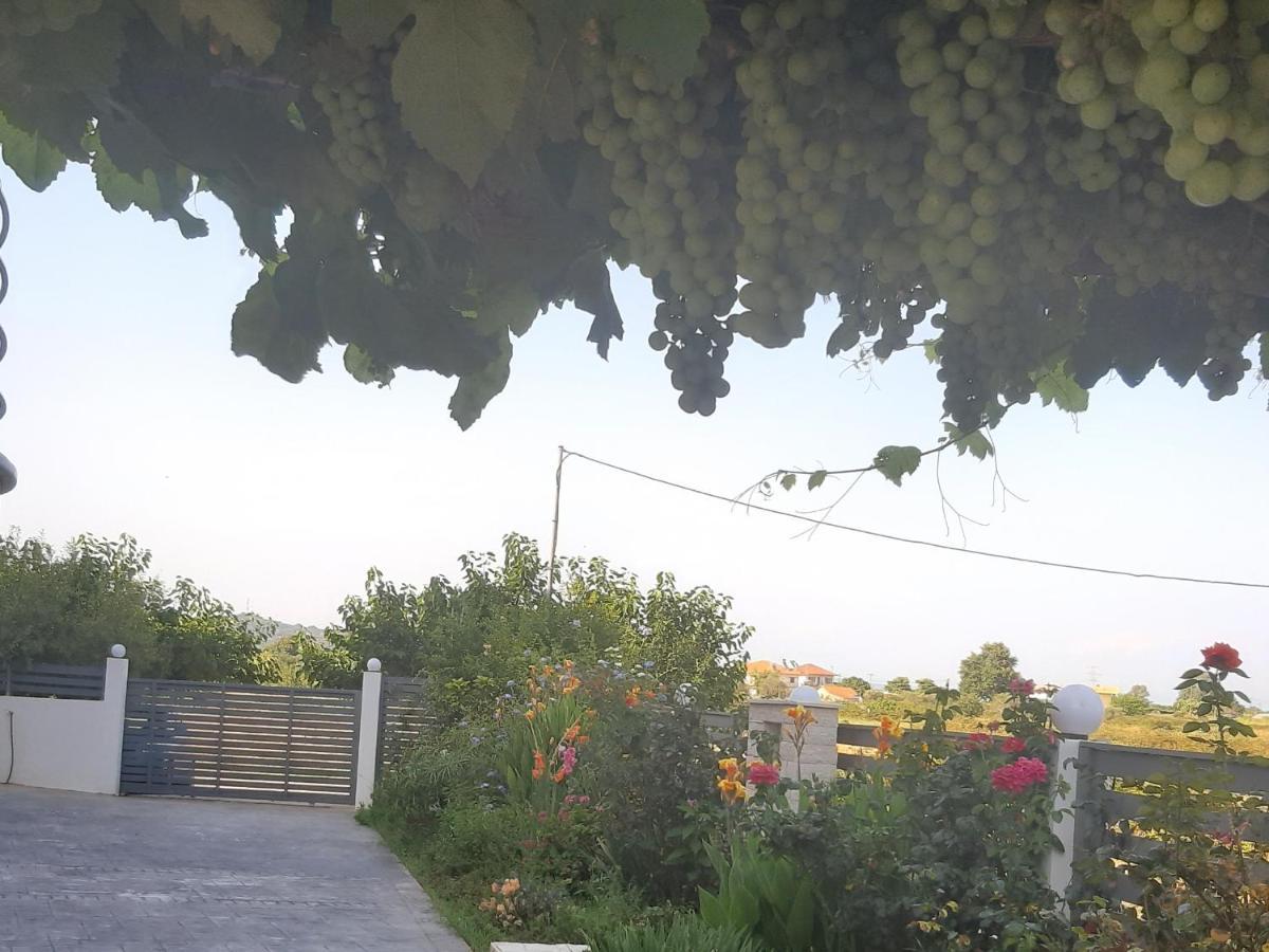 Elsa Home Πρέβεζα Εξωτερικό φωτογραφία