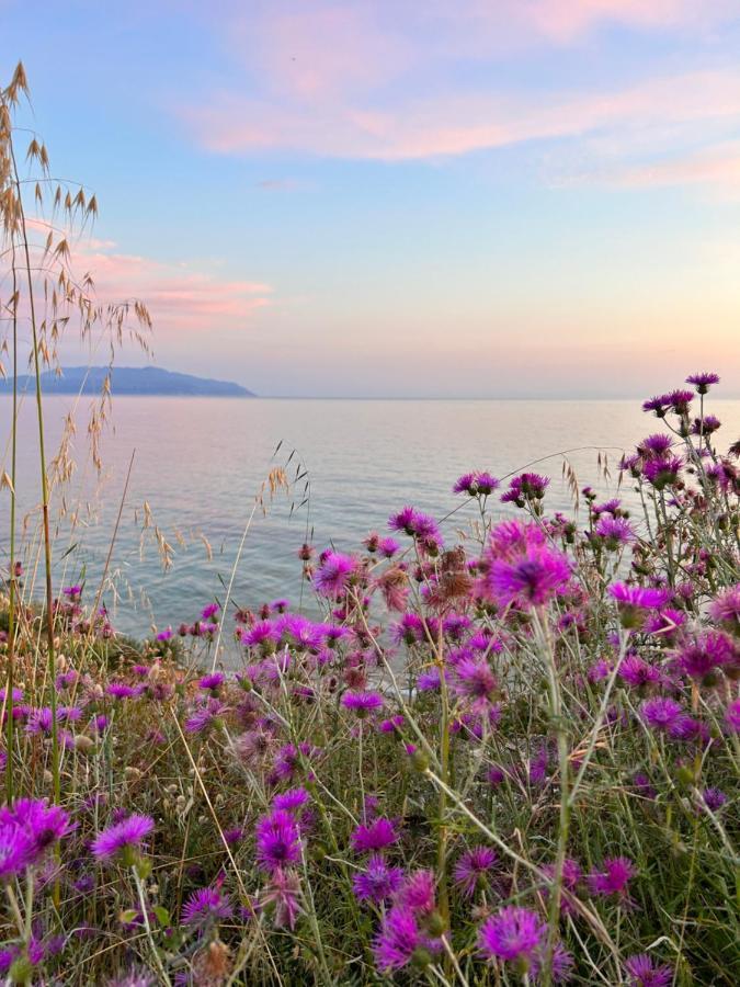 Elsa Home Πρέβεζα Εξωτερικό φωτογραφία